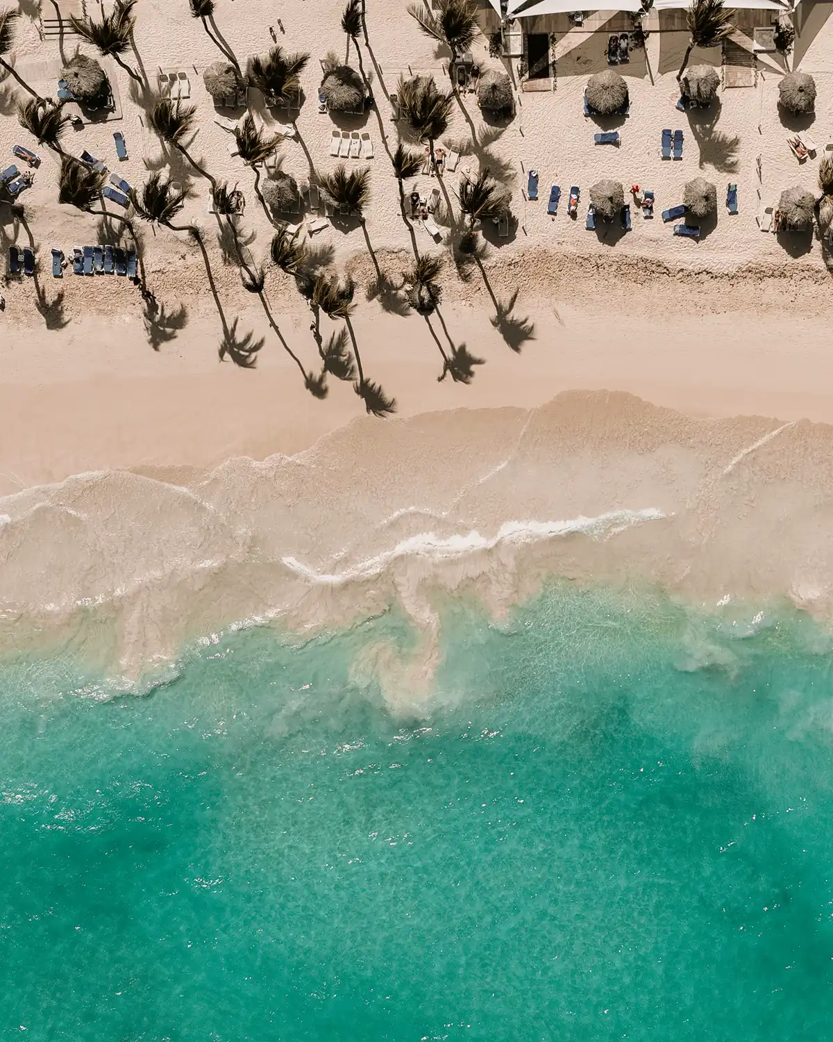 Aerial view of the palm-lined Punta Cana coast