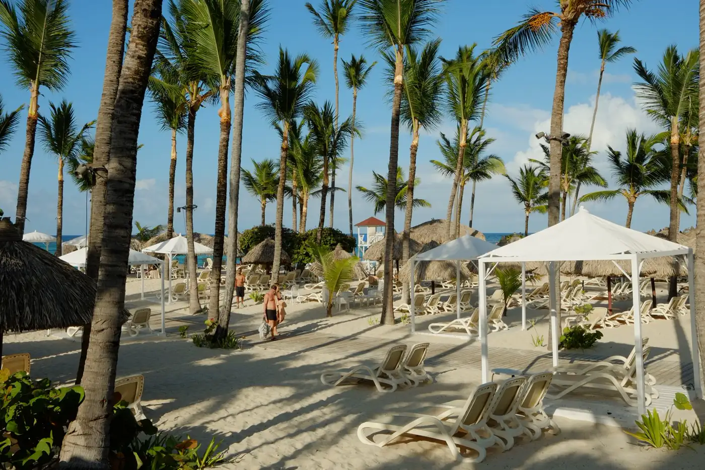 Palm-lined resort beach with loungers in Punta Cana