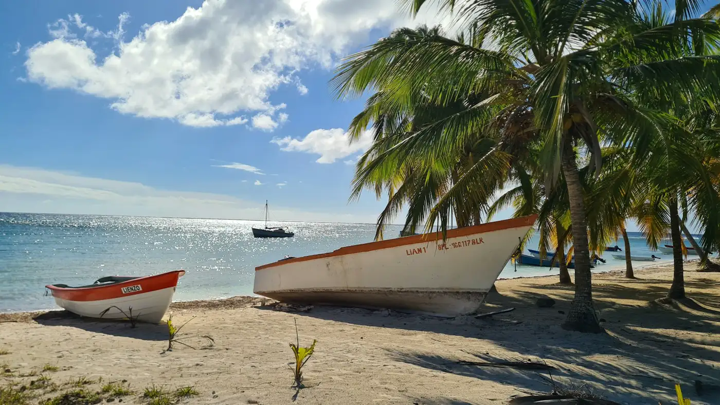 Boats under the palms on Saona Island