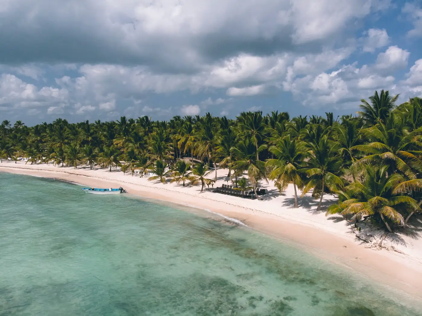 Palm-lined beach on Saona Island