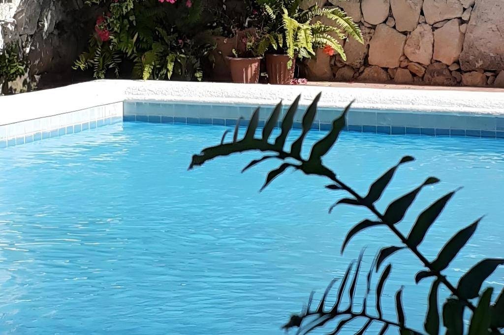 B&B Playa Matilde: Facility photos