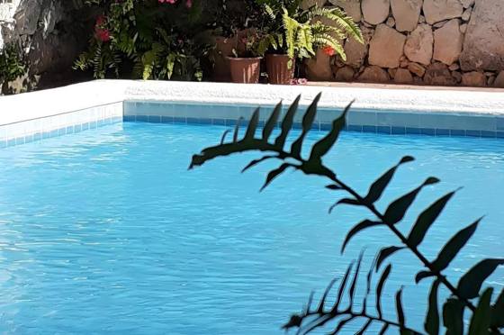 B&B Playa Matilde: Facility photos