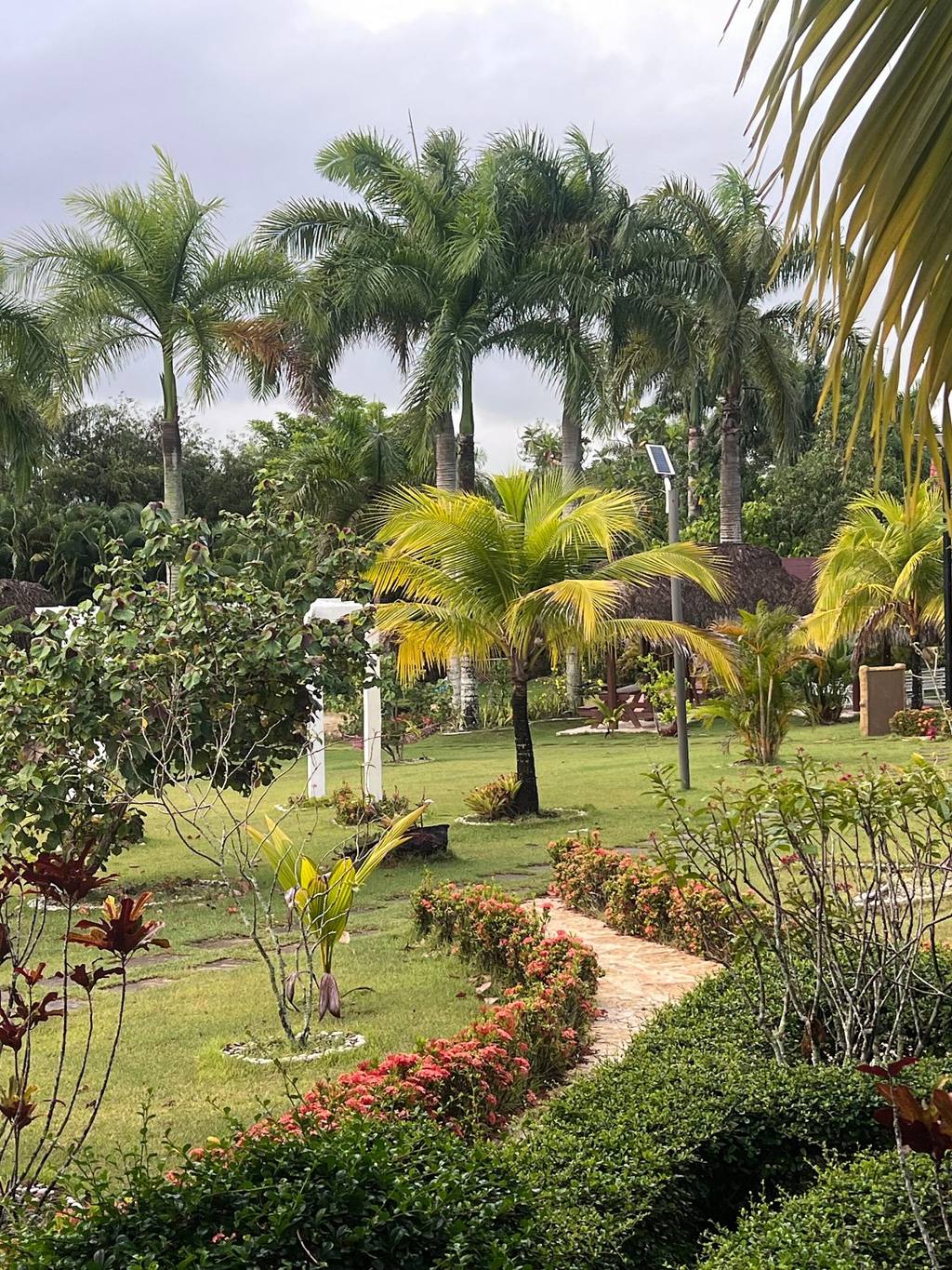 Banana Ranch Villages: photo 4