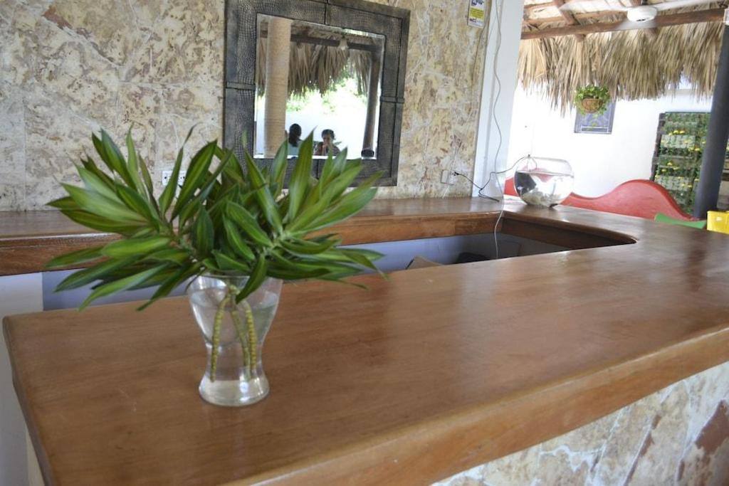 Guesthouse Caribe Punta Cana: Property views