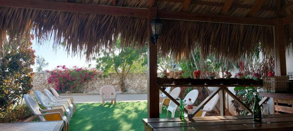 Hostal Johnnier Macao Punta Cana: Property views
