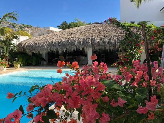 Hotel Las Flores: photo 1