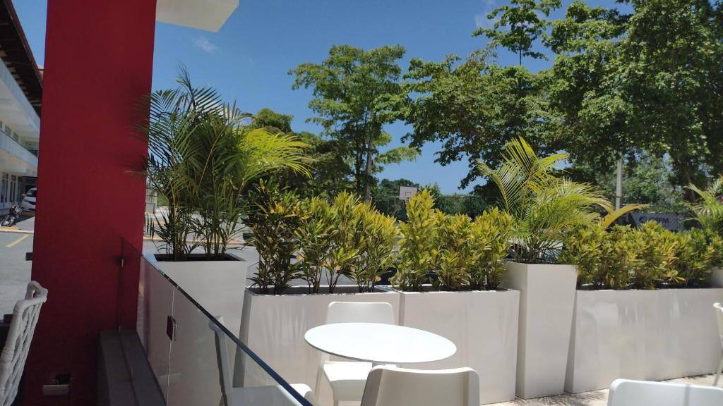 Hotel Plaza Coral: Restaurant