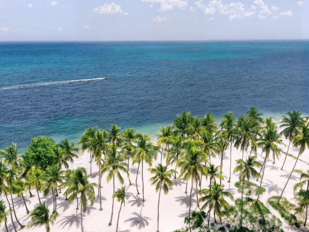 Hyatt Vivid Punta Cana: Beach