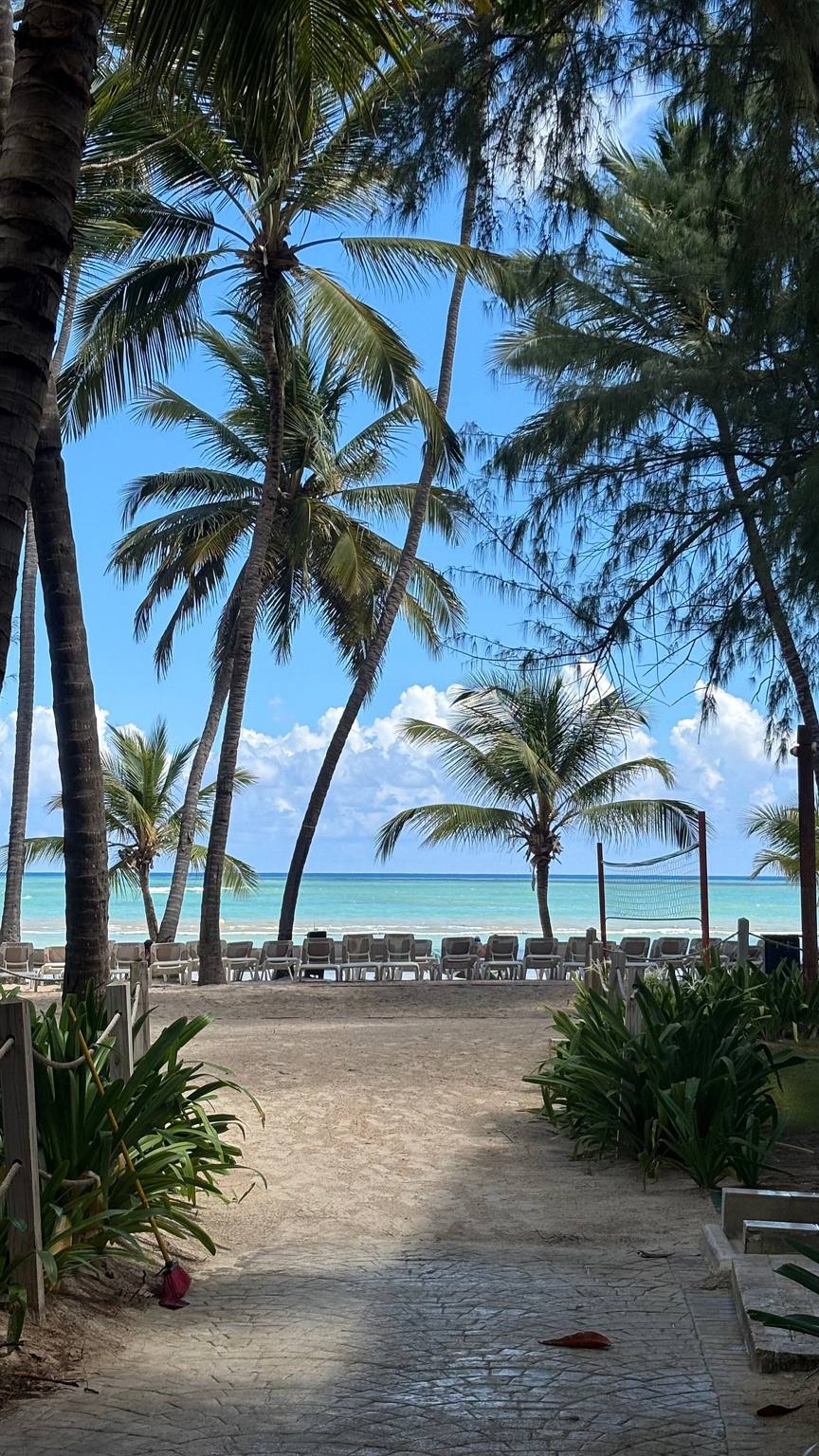 Impressive Premium Punta Cana