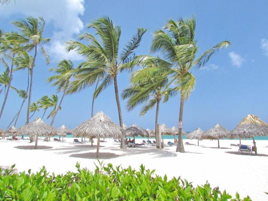 Las Terrazas VIP Pool Beach Club & Spa: Facility photos