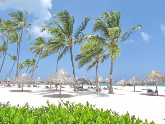 Las Terrazas VIP Pool Beach Club & Spa: Facility photos