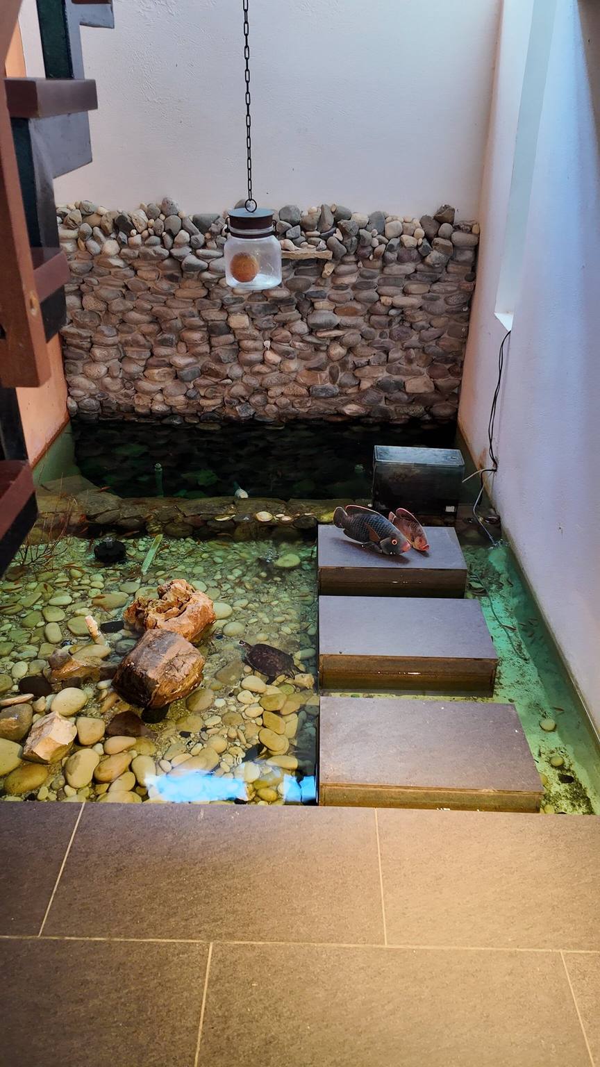 Manaya Bed & Breakfast: photo 4