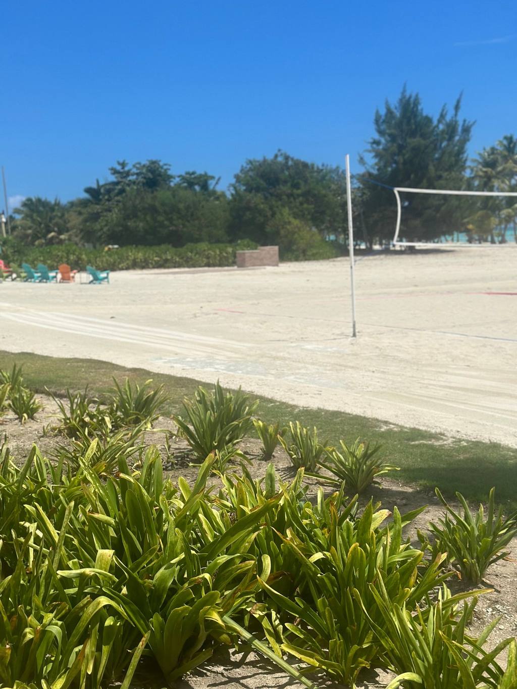 Margaritaville Punta cana: photo 7
