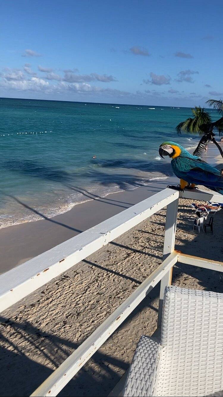 The Greek Resorts Punta Cana