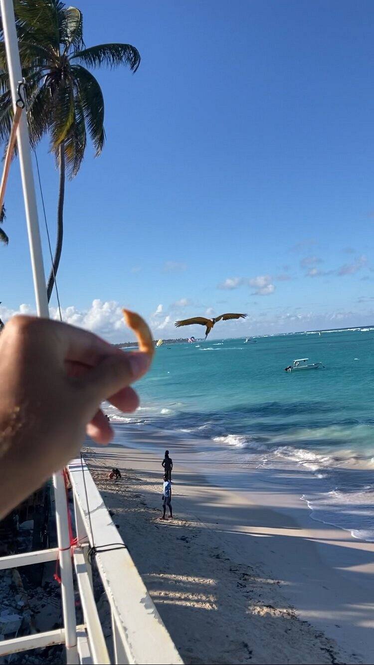 The Greek Resorts Punta Cana