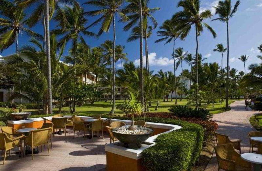 VIK Hotel Cayena Beach: Property views