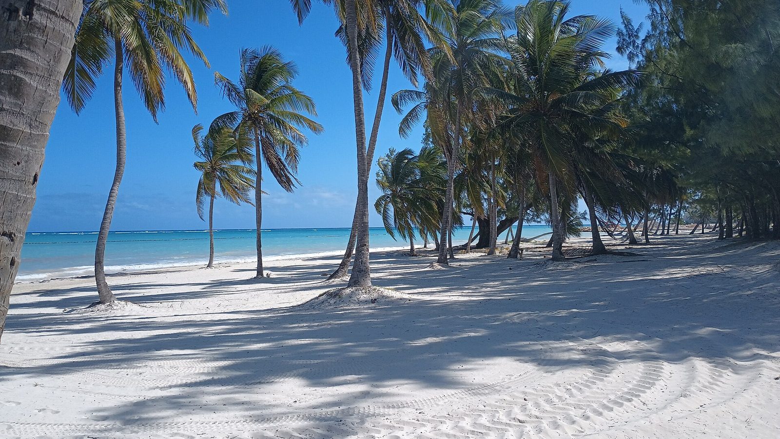 Beach at Cap Cana