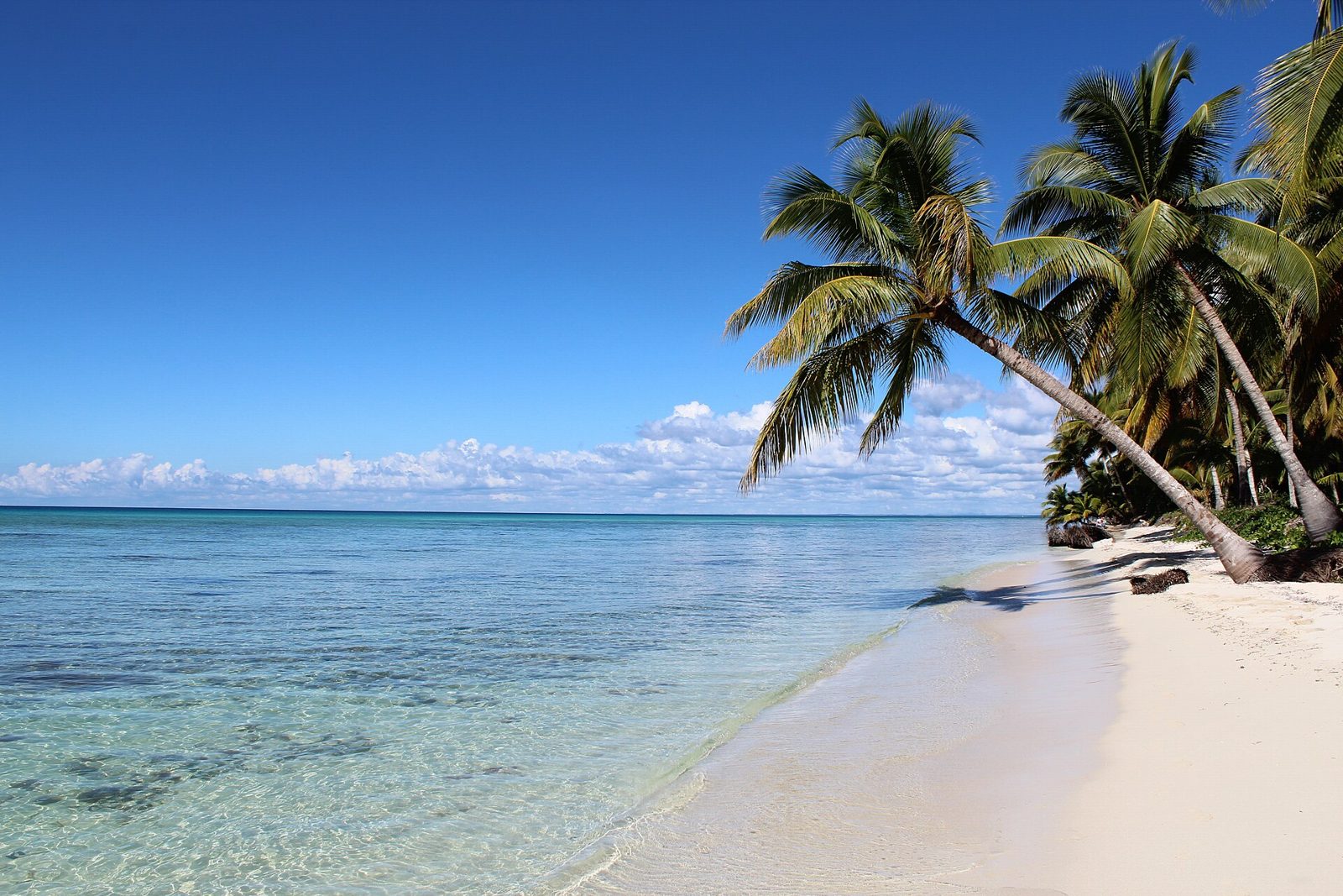 Saona Island beach