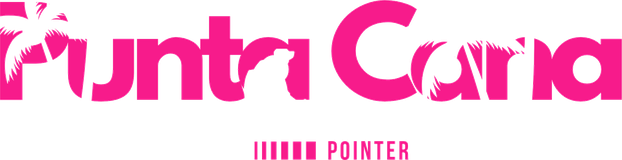 Punta Cana Pointer logo